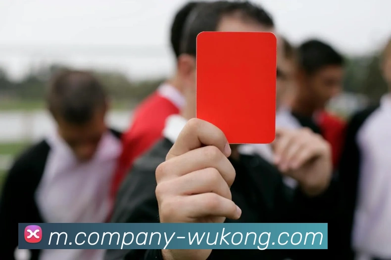 悟空体育品牌故事