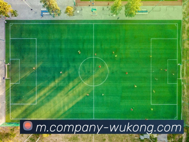 悟空体育服务体系